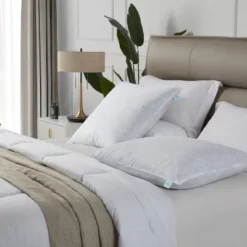 Euro 2pk Firm Feather Down Bed Pillow - Martha Stewart 6 Euro 2pk Firm Feather Down Bed Pillow - Martha Stewart -Home Decoration Store GUEST 42ed7eb5 3c65 4024 a117 67404be0d738