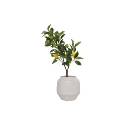 28" Artificial Faux Lemon Tree In Cement Pot - Storied Home 9 28" Artificial Faux Lemon Tree In Cement Pot - Storied Home -Home Decoration Store GUEST 5291af92 e638 4001 9809 05697f0446ac