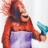Blow Dryer Monkey Shower Curtain - Allure