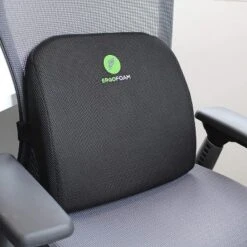ErgoFoam Lumbar Support Pillow For Chair - Premium Breathable Mesh Back Support For Office Chair - Most Comfortable Lumbar Cushion -Home Decoration Store GUEST 791600db 134d 4158 8546 d8e632c071b2