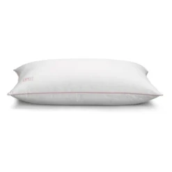 White Goose Down Pillow With 100% Certified RDS Down, And Removable Pillow Protector 8 White Goose Down Pillow With 100% Certified RDS Down, And Removable Pillow Protector -Home Decoration Store GUEST 7d54f67a c7ec 4fcf 92ff af8945ca6985