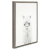 24" X 18" Hairy Alpaca Framed Canvas Art - Uniek