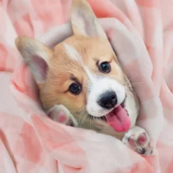 1 Pc Full Microfiber Long Shaggy Bed Blankets Pink And White - PiccoCasa -Home Decoration Store GUEST a5f21754 56f1 47c3 a820 8bf32d9694e9