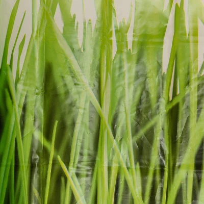 Grass EVA Shower Curtain - Green 3 Grass EVA Shower Curtain - Green - Image 3