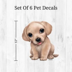 Cats & Dogs Wall Decor - Decalcomania -Home Decoration Store GUEST bc12b544 bba9 444b 8e6c faebf5cfa12a