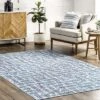 NuLOOM Mitzi Abstract Lines Machine Washable Area Rug