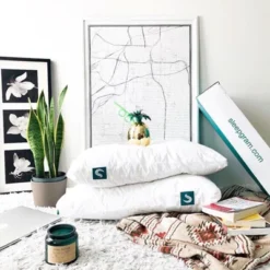 Contour Sleepgram Bed Support Adjustable Hypoallergenic Cool Sleeping Loft Soft Pillow With Removeable Microfiber Cover, Queen Size, White (2 Pack)